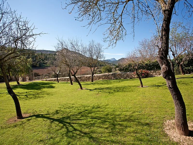 Boyta: 408 m² Sovrum: 4  - Hus i Establiments #12789 - 12