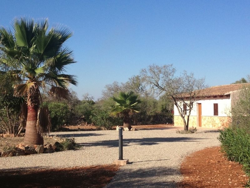 Boyta: 250 m² Sovrum: 3  - Finca i Felanitx/Porto Colom #51324 - 18