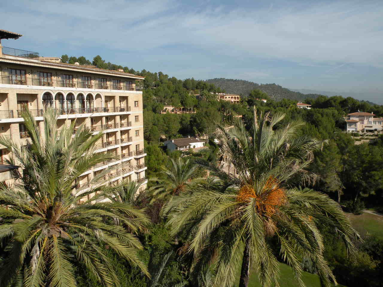 Son Vida / Establiments / Esporlas 1