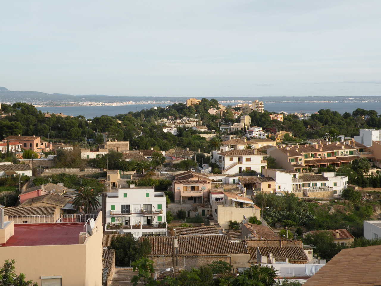Cala Mayor/San Agustin/Genova 4