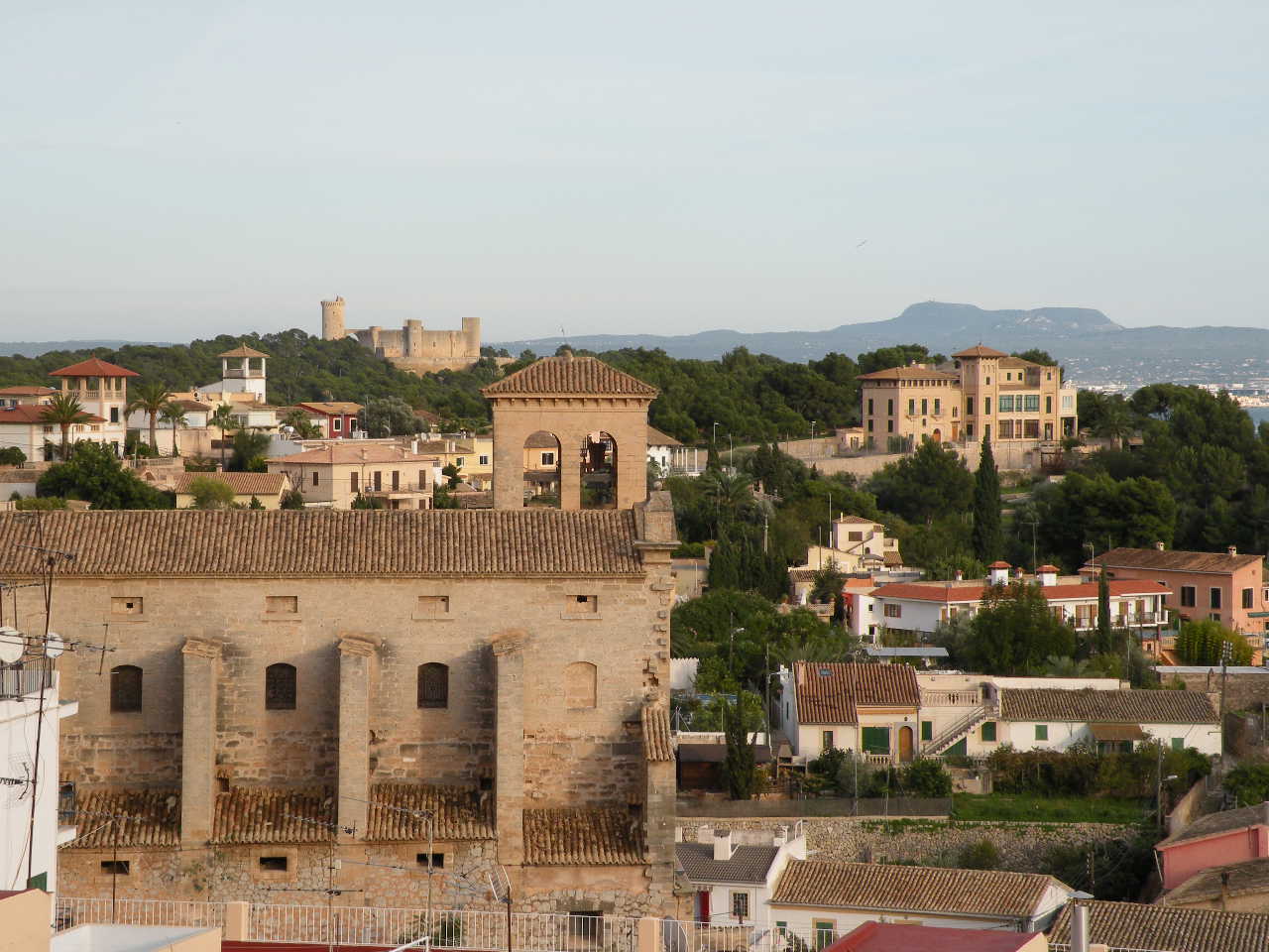 Cala Mayor/San Agustin/Genova 5
