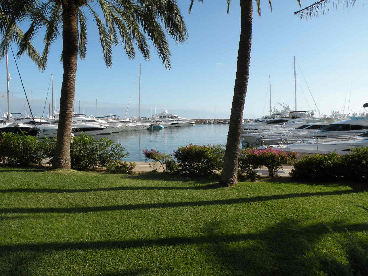 Portals Nous/Port Portals 6