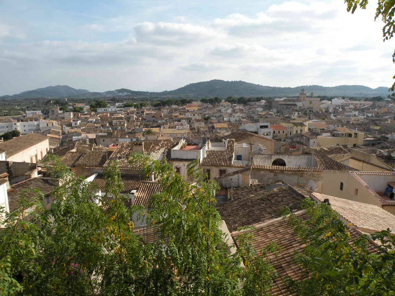 Arta/Betlem/Colonia San Pedro/Canyamel 20