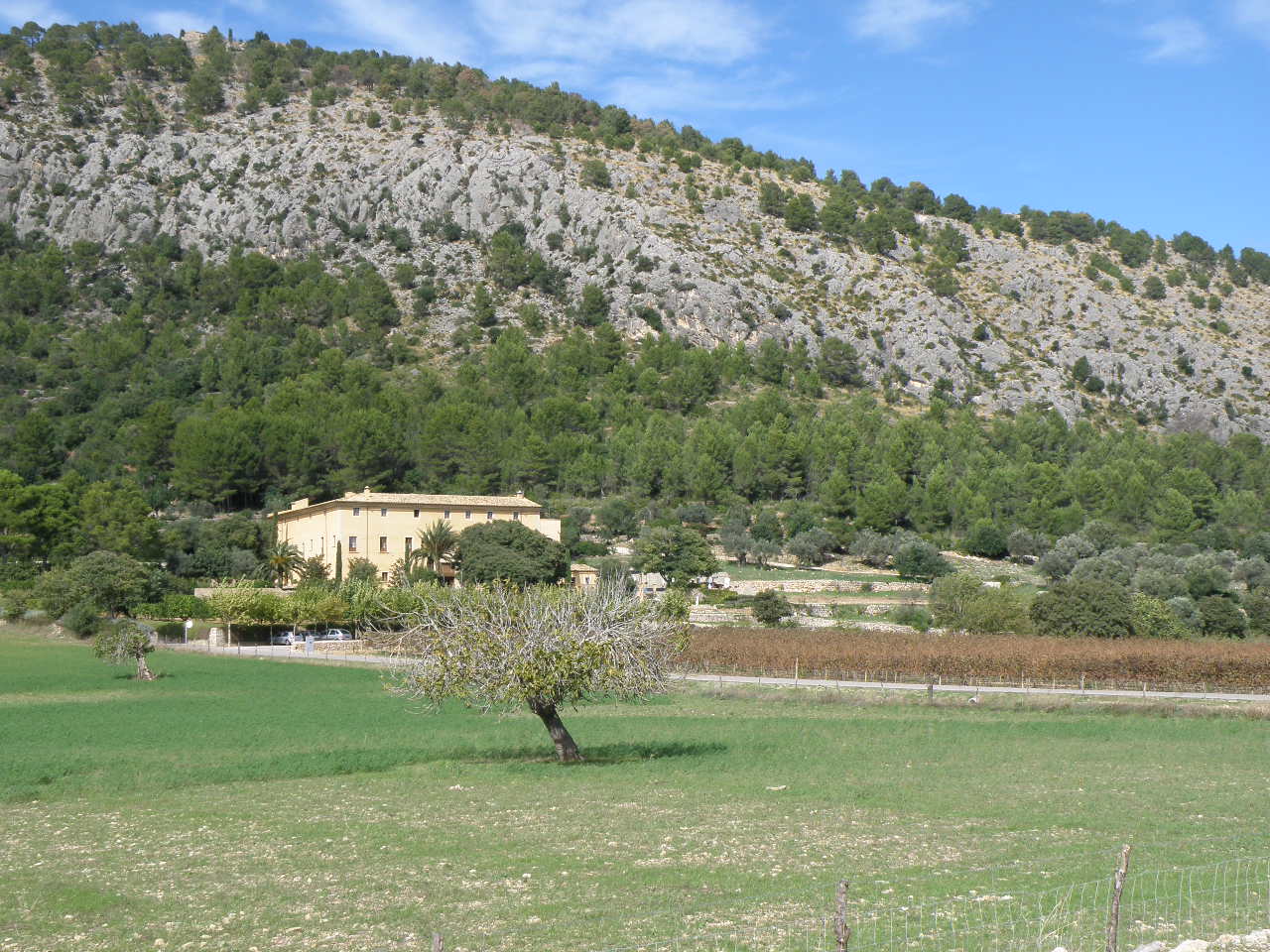 Port de Pollensa/Pollensa 1