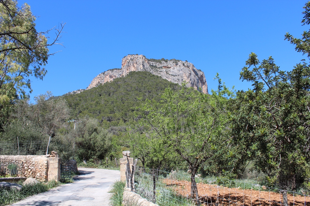 Central Mallorca 6
