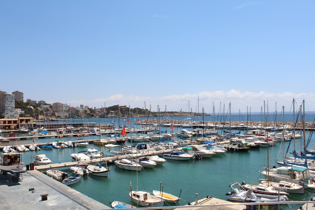 Cala Mayor/San Agustin/Genova 6