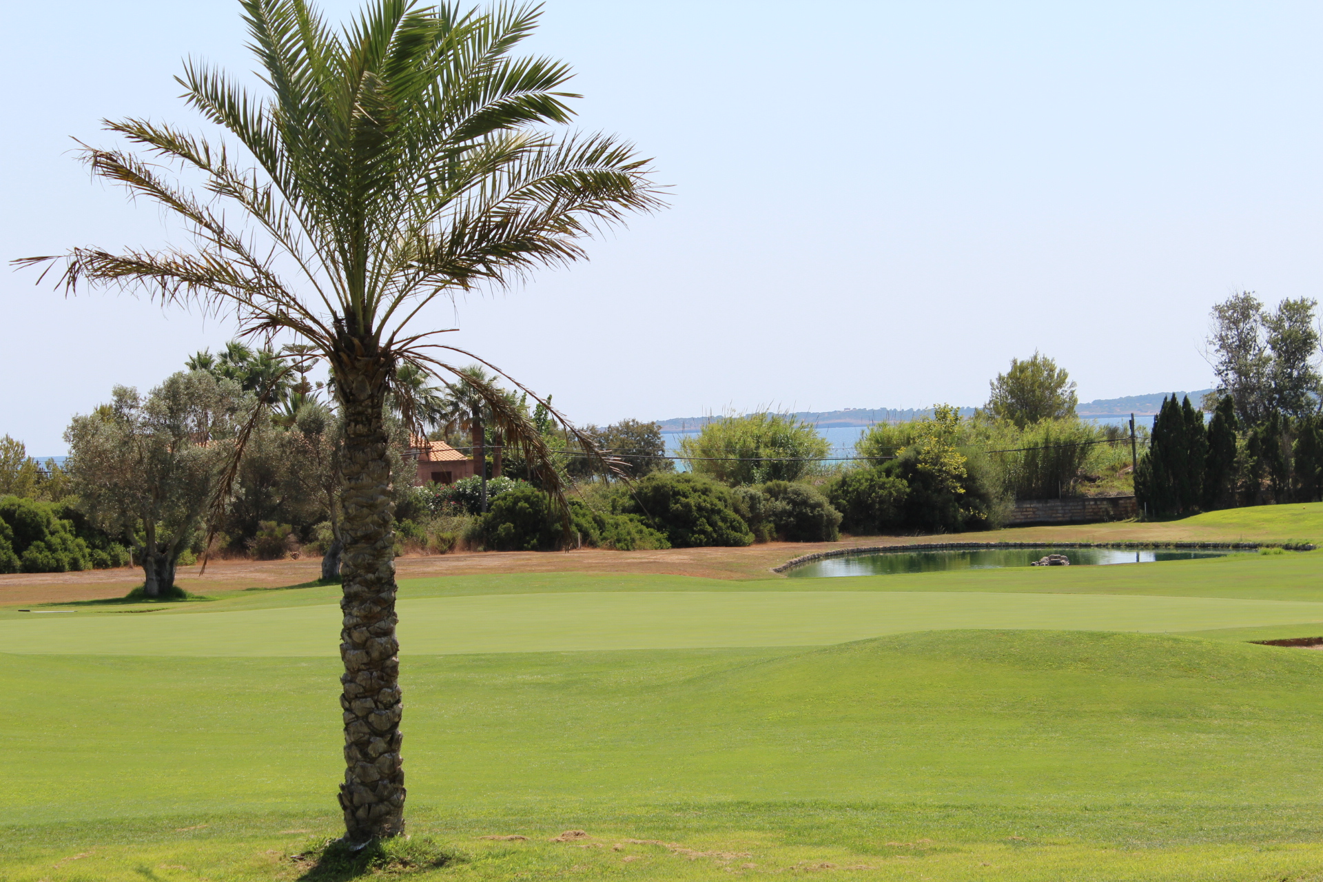 Costa de Los Pinos / Cala Bona / Cala Millor / Sa Coma 29