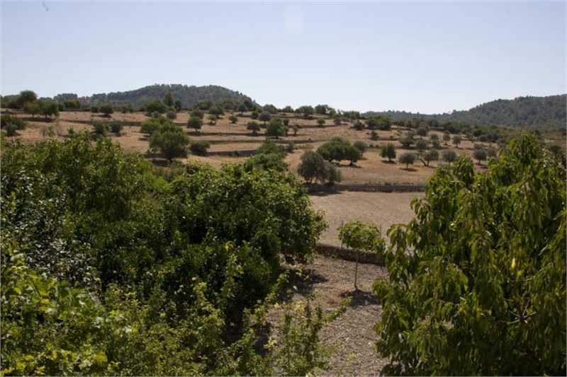 Boyta: 1 075 m² Sovrum: 6  - Finca i Alaro #17524 - 14
