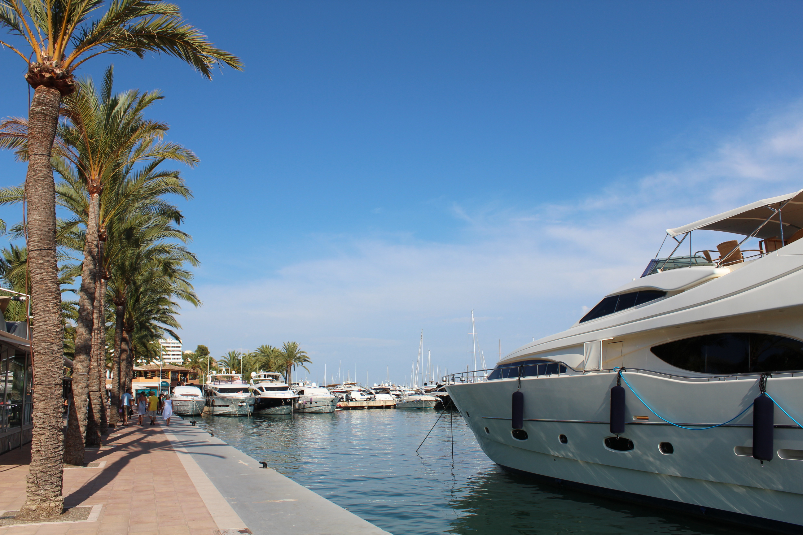 Portals Nous/Port Portals 12