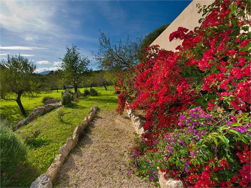 Boyta: 400 m² Sovrum: 7  - Finca i Establiments #12550 - 18