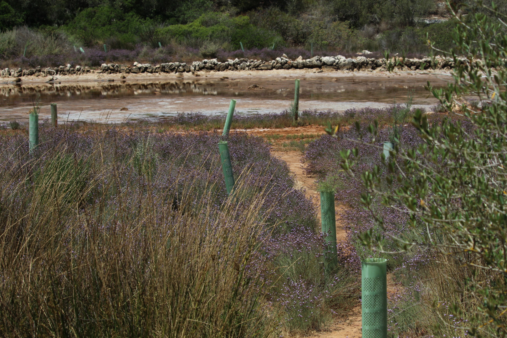 Cala d'Or/Porto Petro 16
