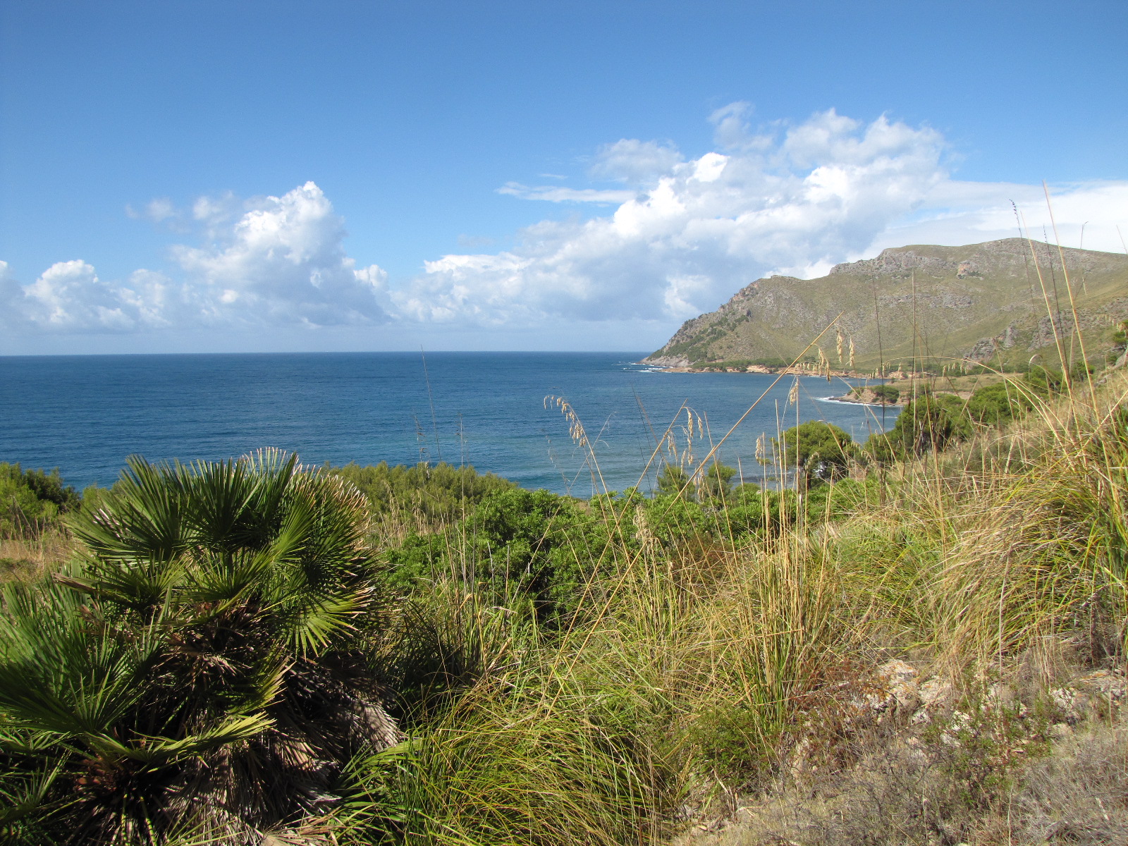 Arta/Betlem/Colonia San Pedro/Canyamel 1