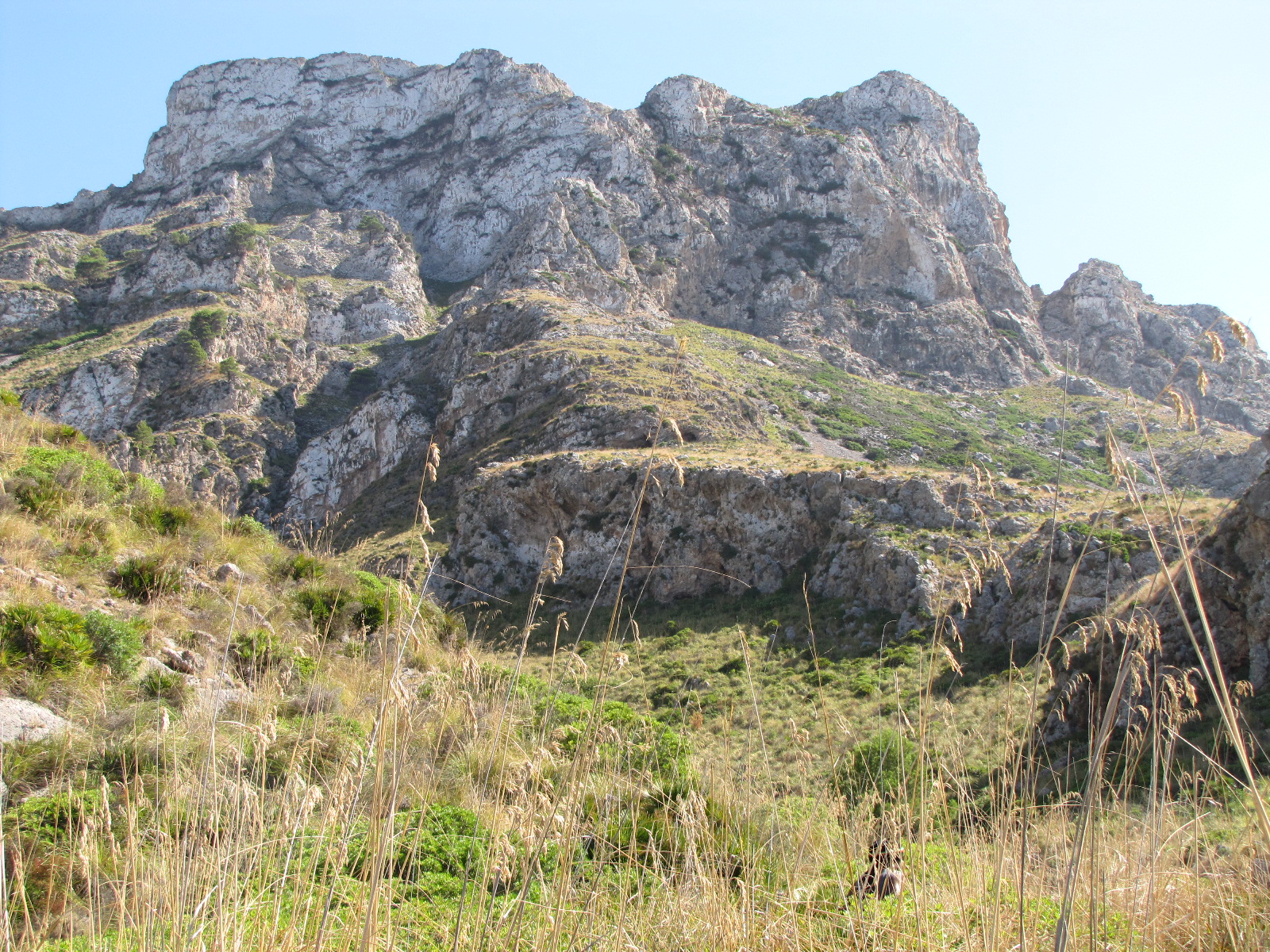 Arta/Betlem/Colonia San Pedro/Canyamel 3