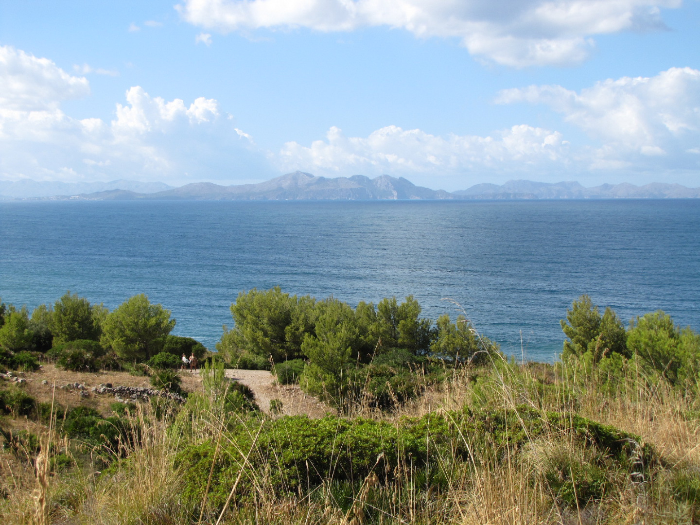 Arta/Betlem/Colonia San Pedro/Canyamel 4