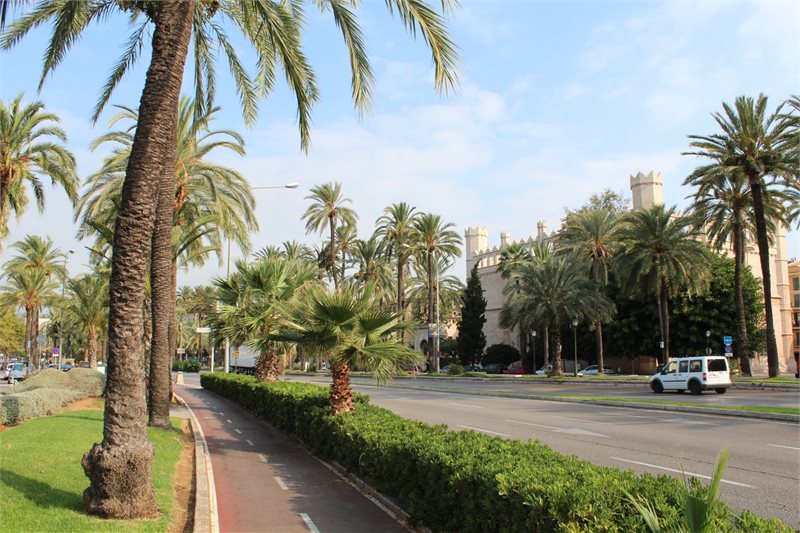 Boyta: 280 m² Sovrum: 4  - Lägenhet i Palma #12151 - 18