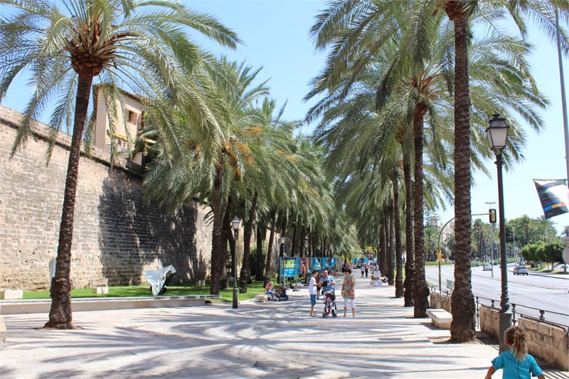 Boyta: 252 m² Sovrum: 3  - Takvåning i Palma #12153 - 27