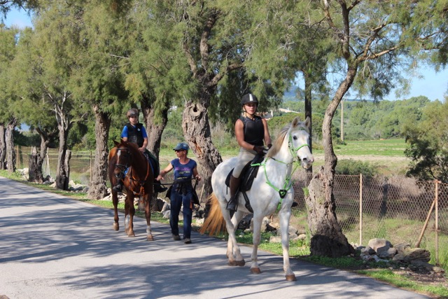 Porto Colom/Felanitx/Son Negre 25