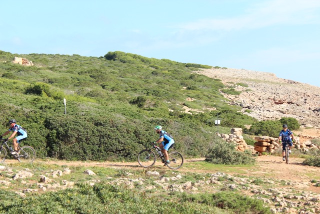 Porto Colom/Felanitx/Son Negre 28