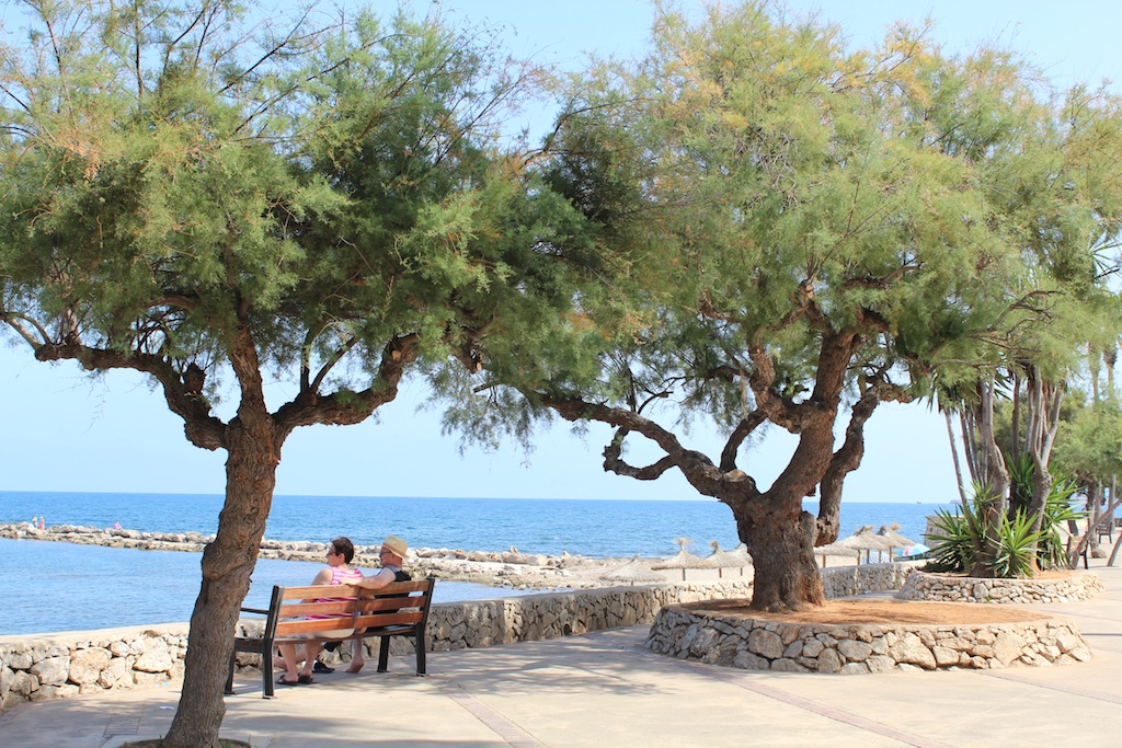 Costa de Los Pinos / Cala Bona / Cala Millor / Sa Coma 20
