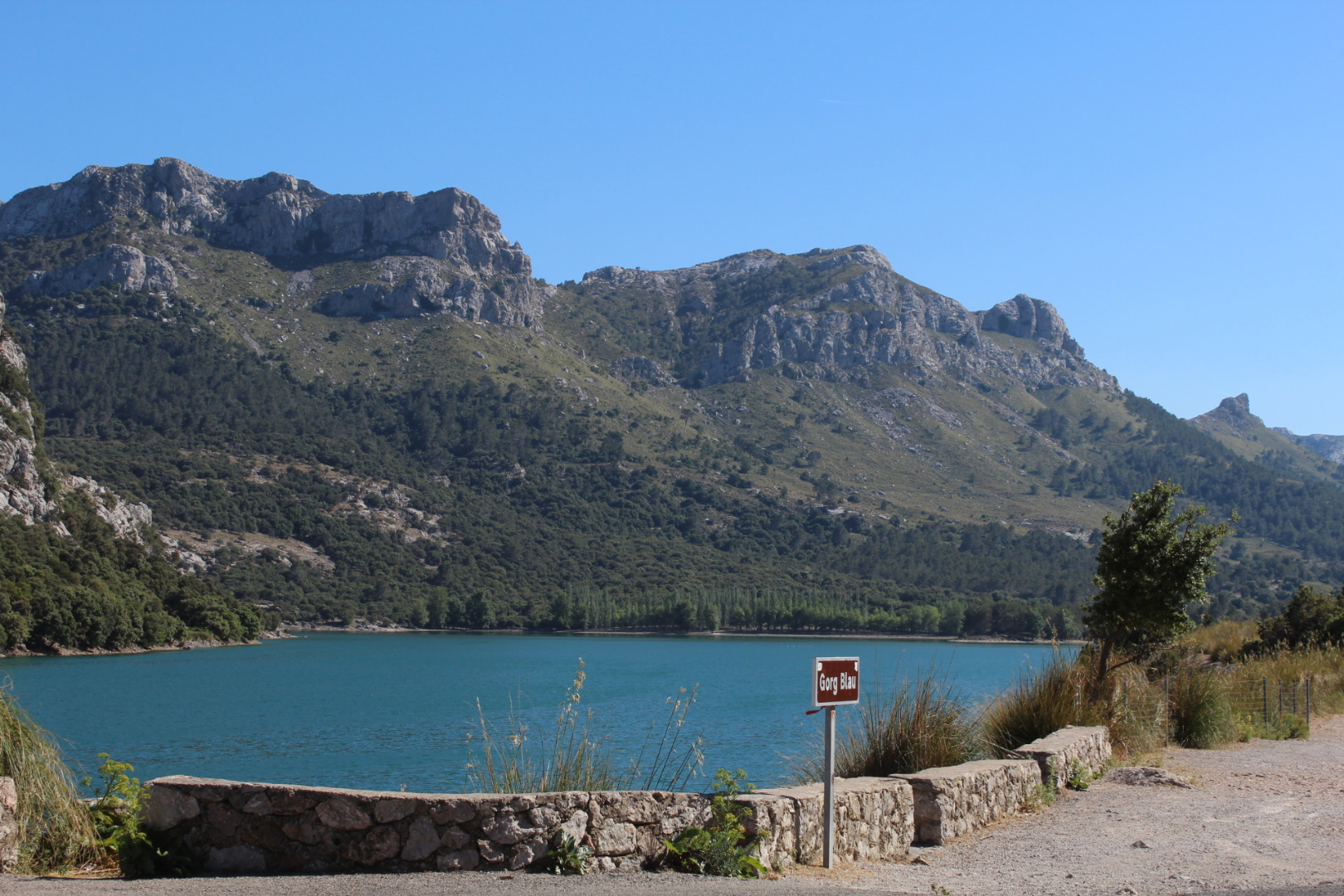 Central Mallorca 11