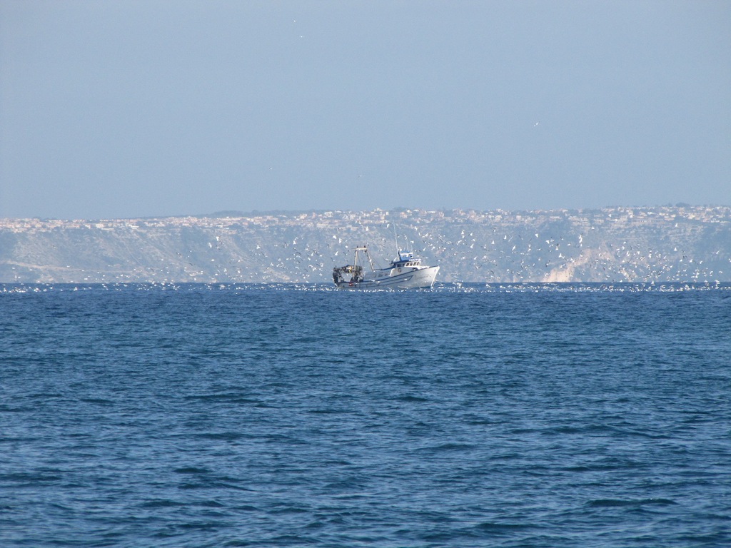 Sol de Mallorca/Cala Vinyes 9