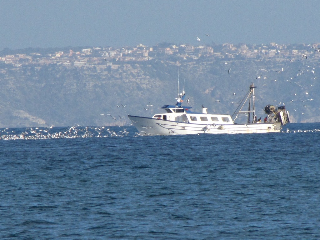 Sol de Mallorca/Cala Vinyes 14