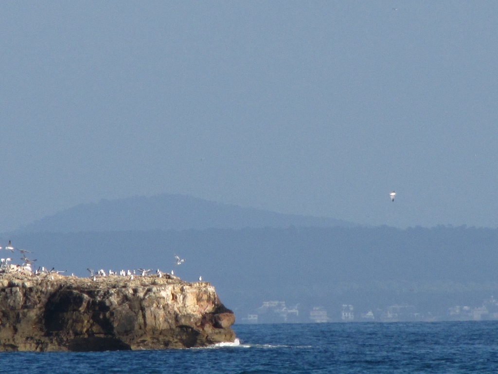 Sol de Mallorca/Cala Vinyes 13