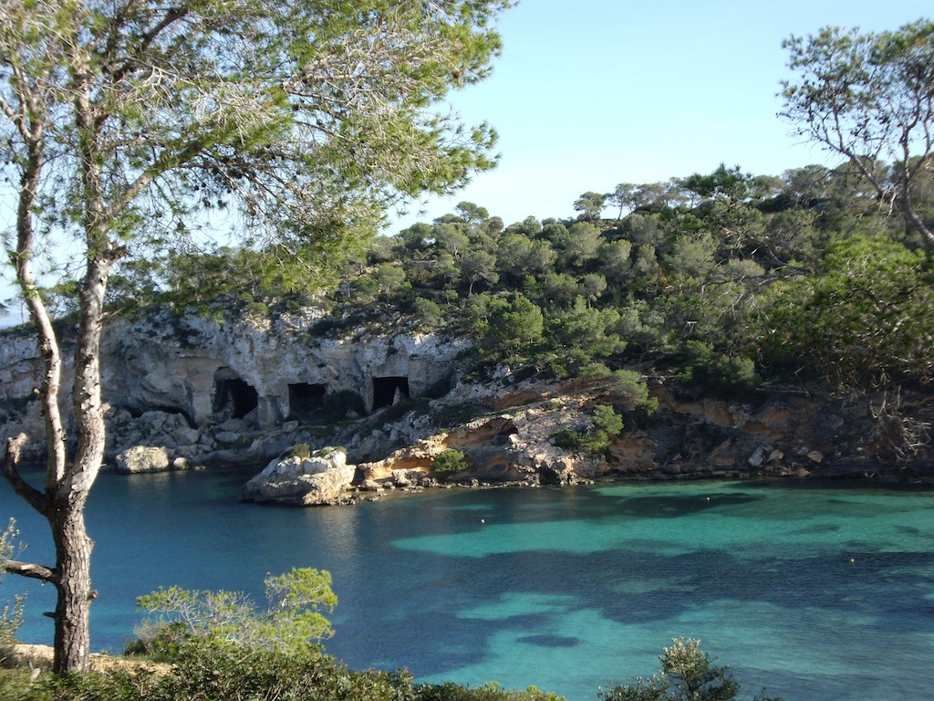 Sol de Mallorca/Cala Vinyes 24