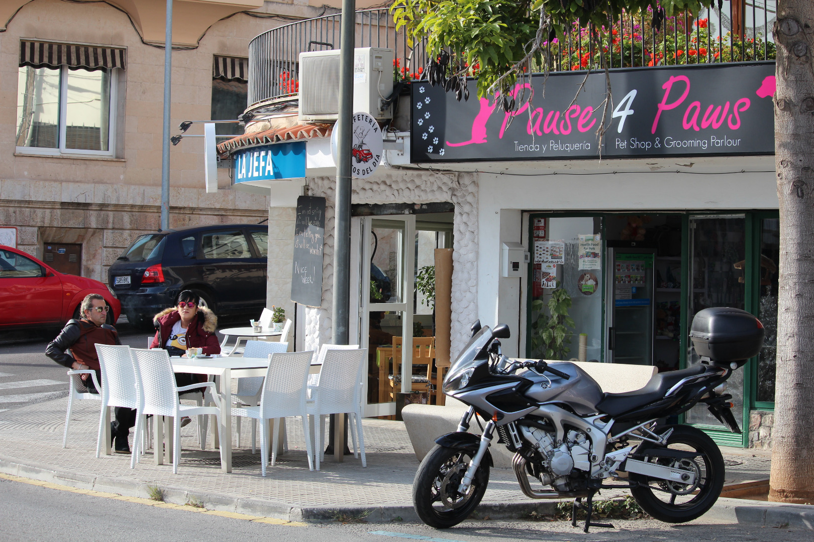 Cala Mayor/San Agustin/Genova 33