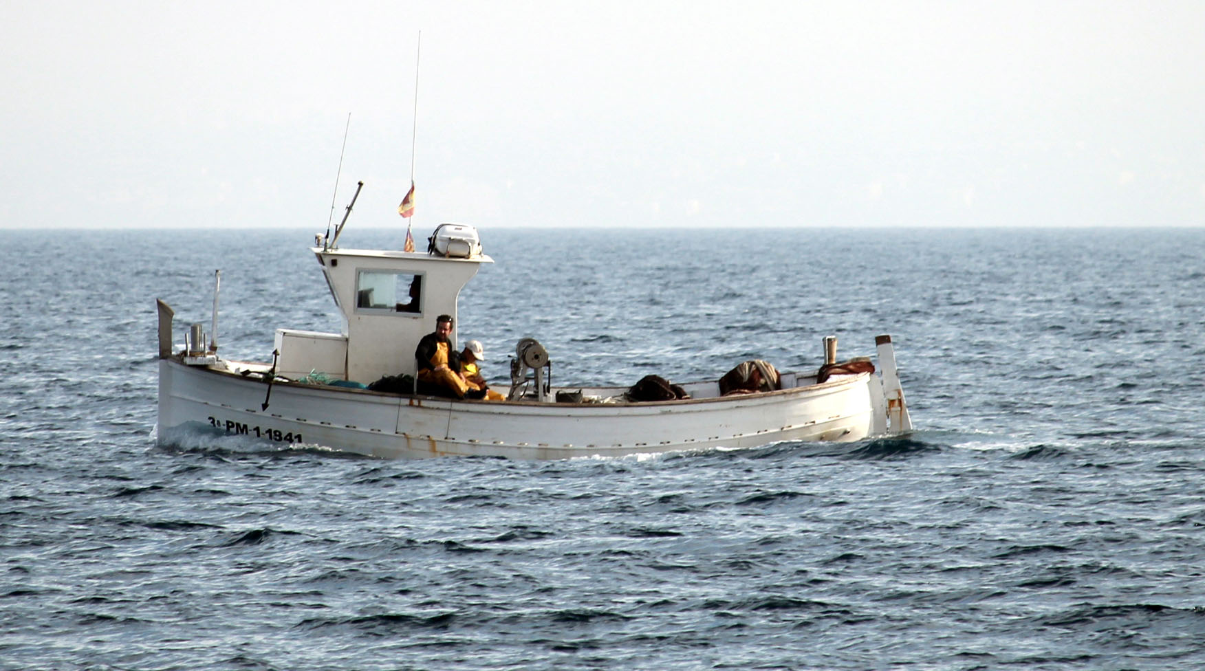 Cala Mayor/San Agustin/Genova 35
