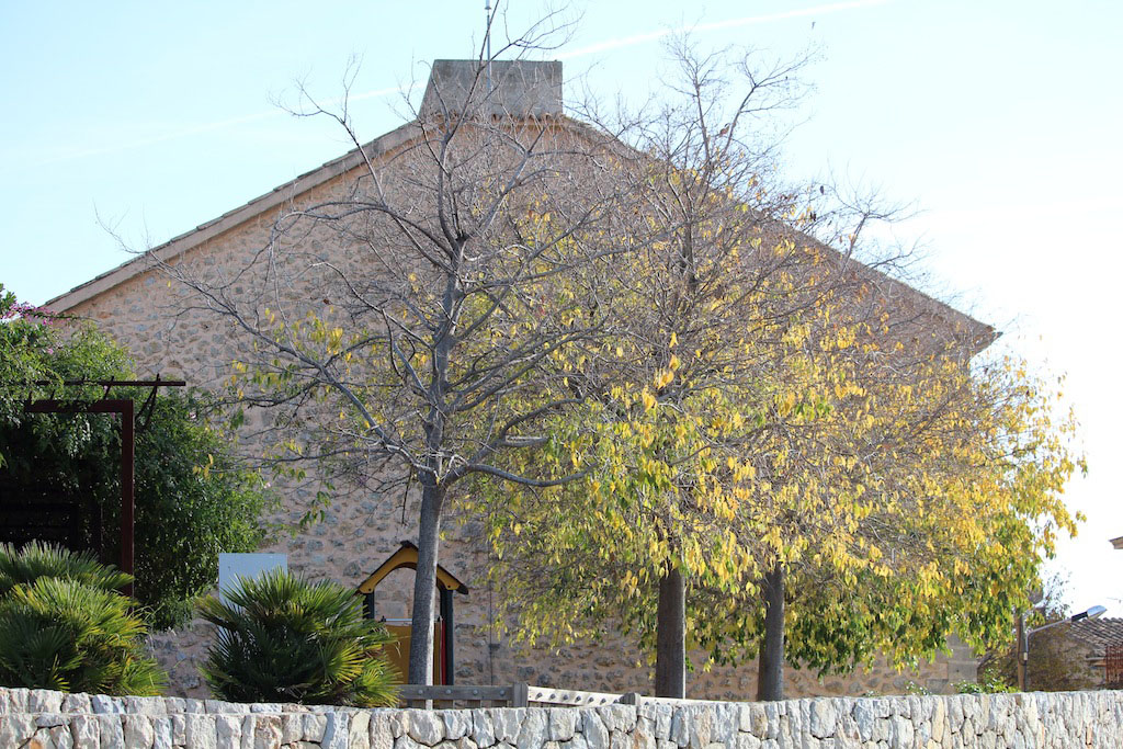 Son Vida / Establiments / Esporlas 5