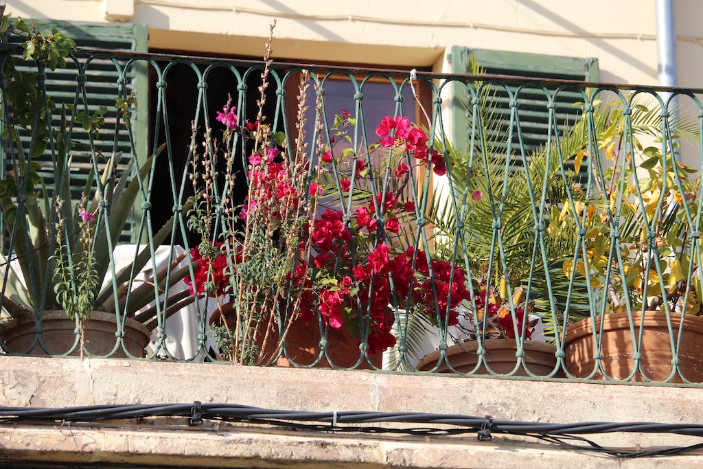 Son Vida / Establiments / Esporlas 11