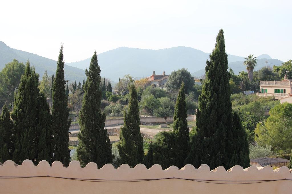 Son Vida / Establiments / Esporlas 28