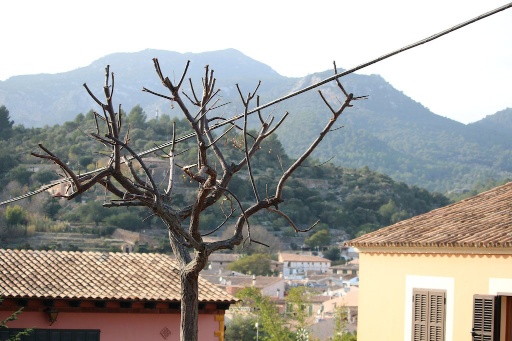 Son Vida / Establiments / Esporlas 29