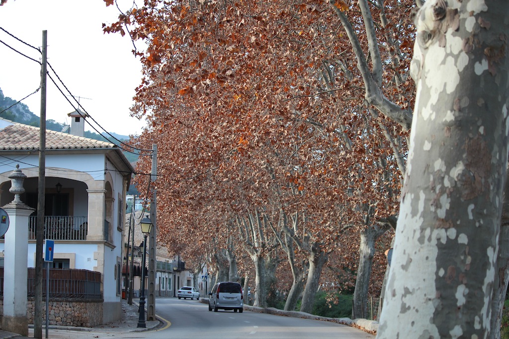 Son Vida / Establiments / Esporlas 30