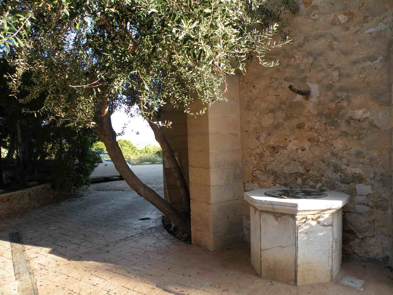 Portals Nous/Port Portals 20