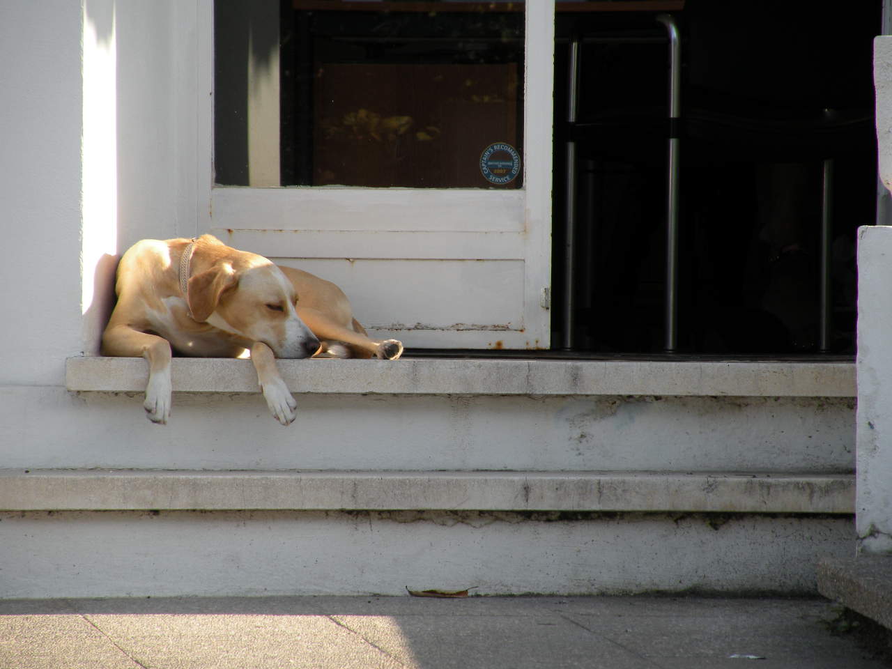 Portals Nous/Port Portals 21