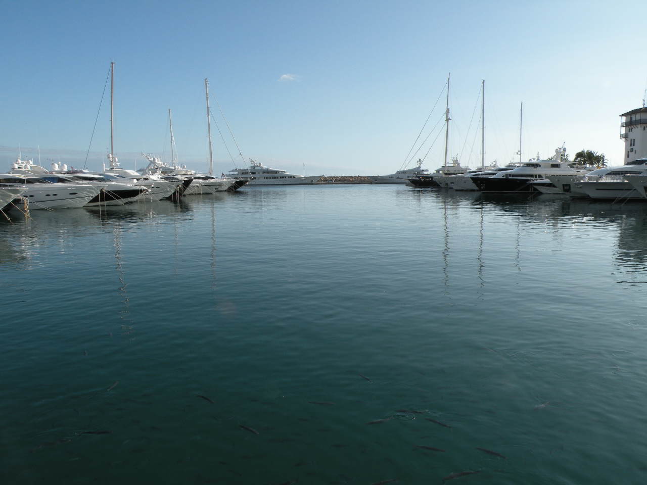 Portals Nous/Port Portals 25