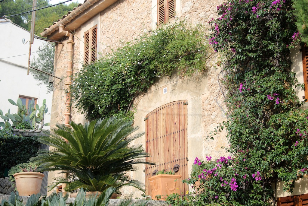 Port de Pollensa/Pollensa 14