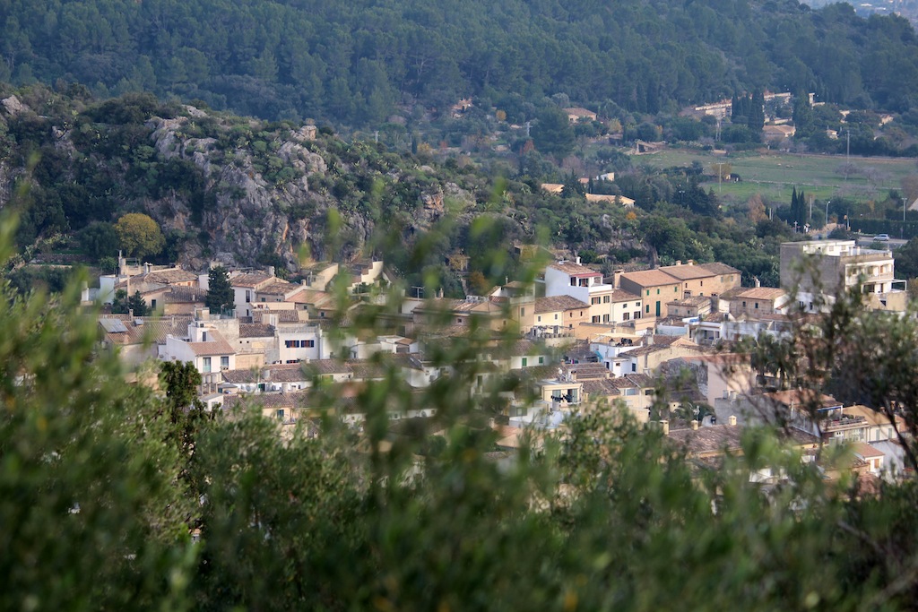 Port de Pollensa/Pollensa 15