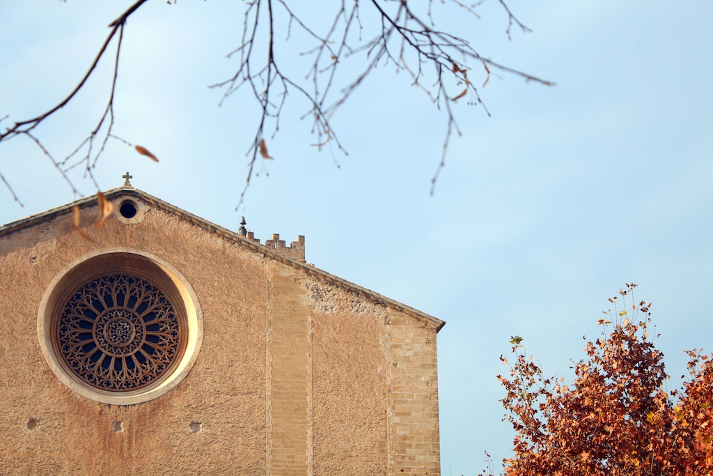 Port de Pollensa/Pollensa 29